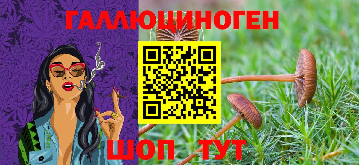 Мурманск  Галлюциногенные грибы Psilocybine cubensis  Вход с VPN 